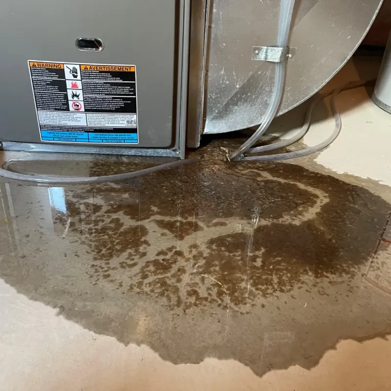 Appliance Leak Cleanup in Boiling Springs, NC